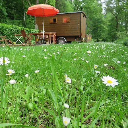 Bienenwagen Der Naturheilpraxis Melchger *