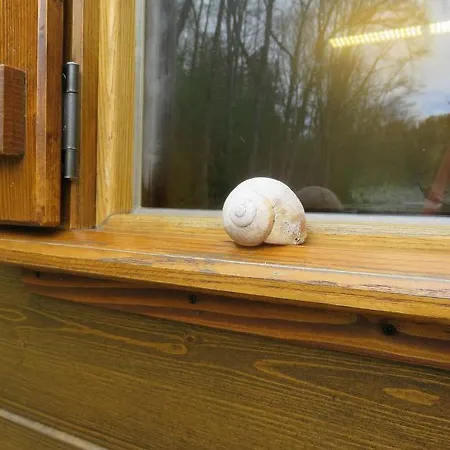 Bienenwagen Der Naturheilpraxis Melchger Appartement Wildberg (Baden-Wurttemberg)