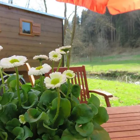Bienenwagen Der Naturheilpraxis Melchger Campsite