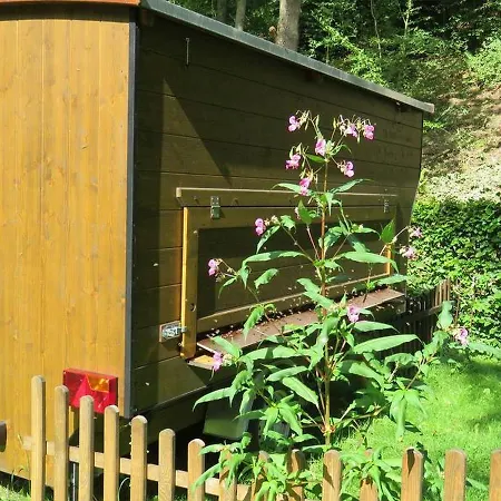 Bienenwagen Der Naturheilpraxis Melchger Campsite Wildberg (Baden-Wurttemberg)